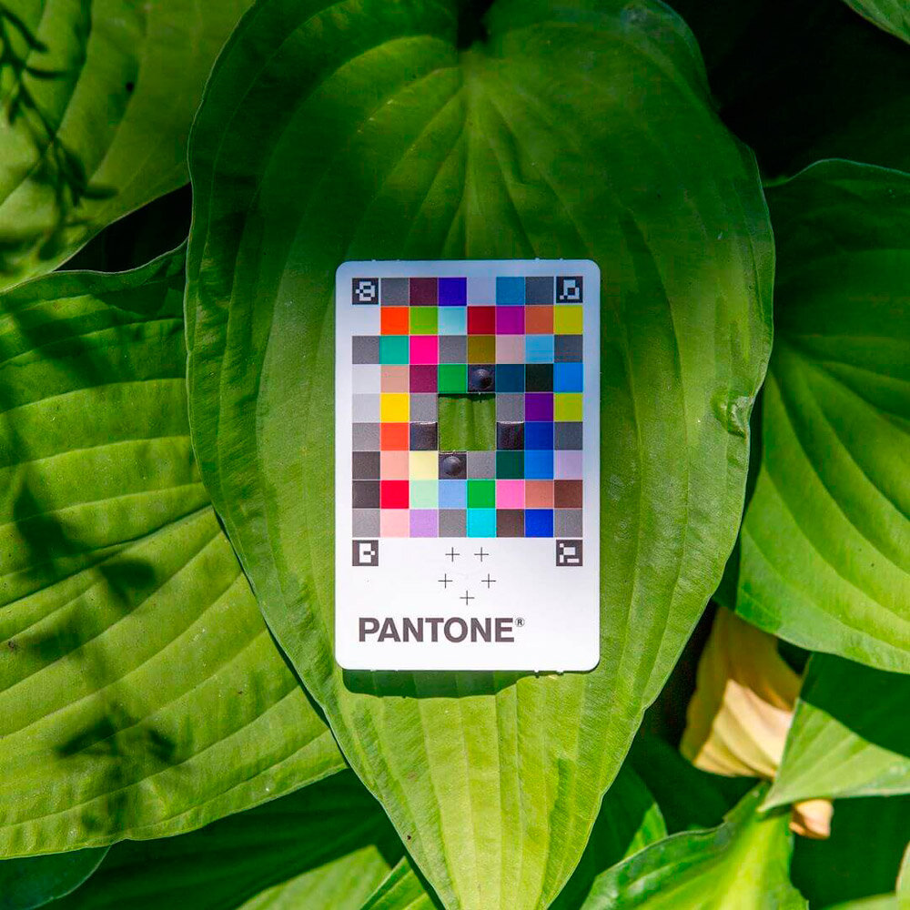 Pantone Color Match